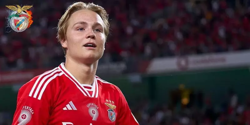 Andreas Schjelderup Andreas Schjelderup