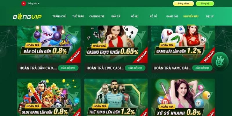 Game Bài Bongvip – Sảnh Cá Cược Giải Trí Hàng Đầu Thị Trường